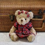 Teddy Bear In A Red Tartan Dress