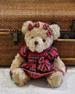 Teddy Bear In A Red Tartan Dress
