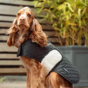 Midnight Black Quilted Dog Coat