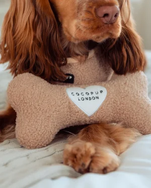 Teddy Rupert Toy Bone