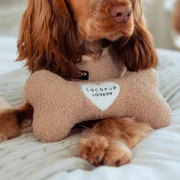Teddy Rupert Toy Bone