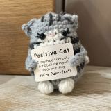 Positive Cat