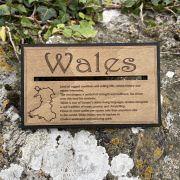 Wales Track