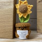 Positive Flower