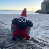 Stuart At Christmas