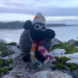 Stuart The Lakeland Sheep
