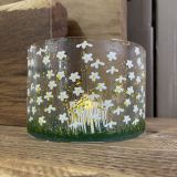 Daisy Glass Curve