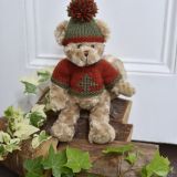 Teddy Wearings A Red And Green Jumper And Hat