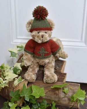 Teddy Wearings A Red And Green Jumper And Hat