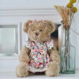 Teddy Wearing A Floral And Fruit Dress