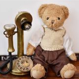 Teddy Wearing Trousers and A Top