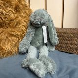 Soft Green Richie Rabbit Toy