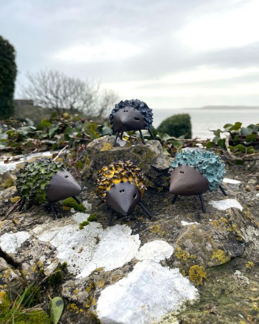Hedgehogs
