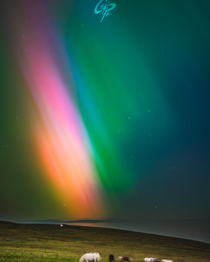 Preseli Aurora Portrait