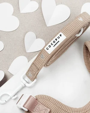 Chai Hearts Lead
