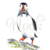 Puffin With Eels