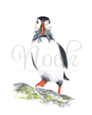 Puffin With Eels