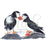 Skomer Duo