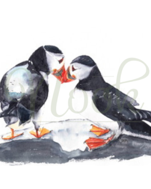 Skomer Duo