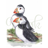 Puffins On The Lookout
