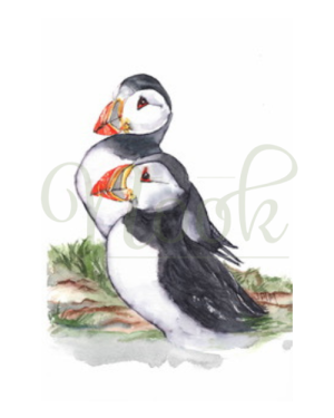 Puffins On The Lookout