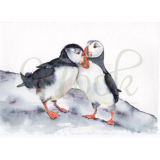 Puffin Pair