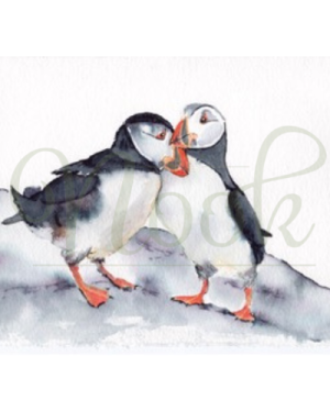 Puffin Pair