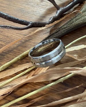 Stainless Steel Silver Ring