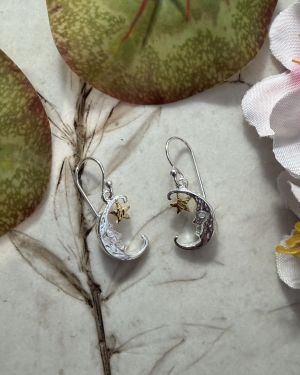 The Star And The Moon Earrings