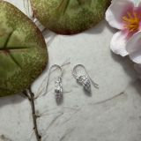 Whelk Shell Earrings