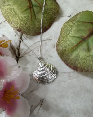 Baby Clam Necklace