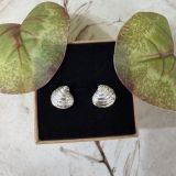 Baby Clam Studs