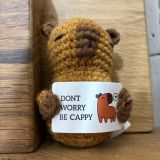 Positive Capybara