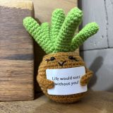 Positive Succulent
