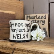 I’m Welsh Mug