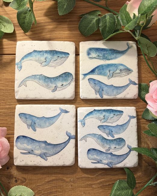 Whale Of A Time Coasters