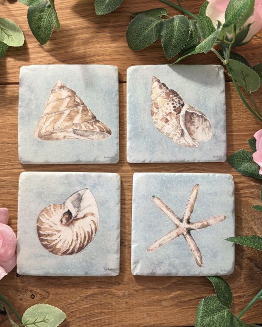 Sea Shell Coasters