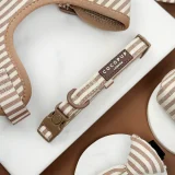 London Linen Stripe Collar