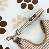 London Linen Stripe Lead