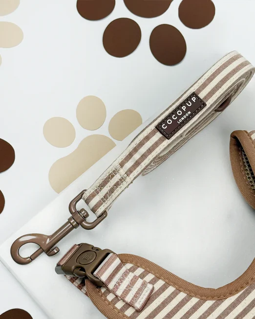 London Linen Stripe Lead