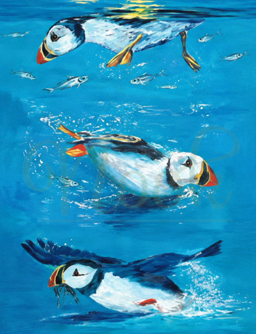 Puffin Trilogy