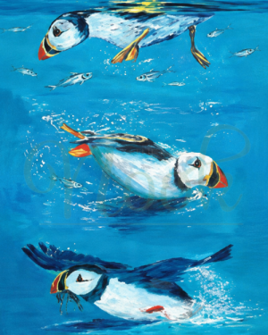 Puffin Trilogy