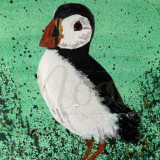 Skomer Puffin
