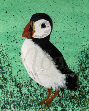 Skomer Puffin
