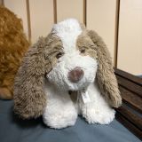 Duncan The Dog