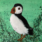 Skomer Puffin