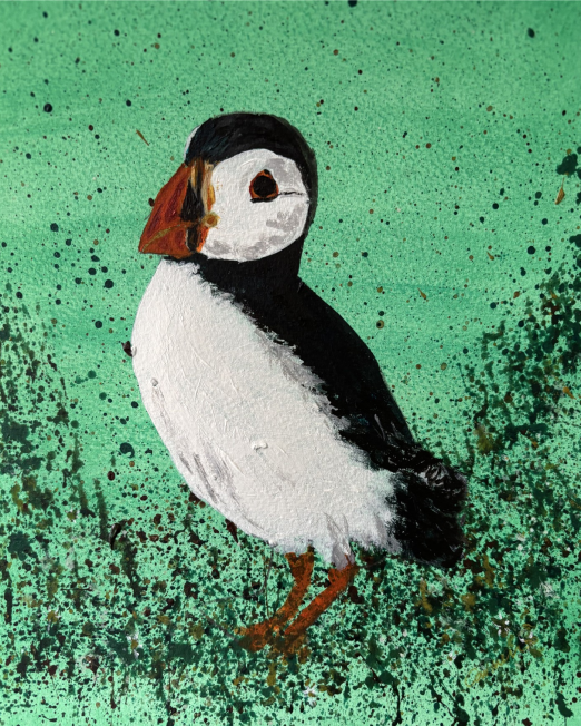 Skomer Puffin