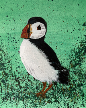 Skomer Puffin