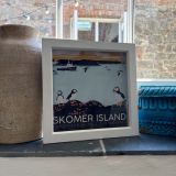Skomer Island Box Frame